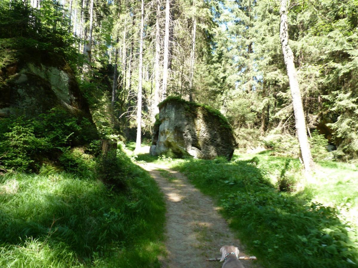 Ein Platz Fuer Ruhe Und Naturgenuss Sebnitz Exterior foto