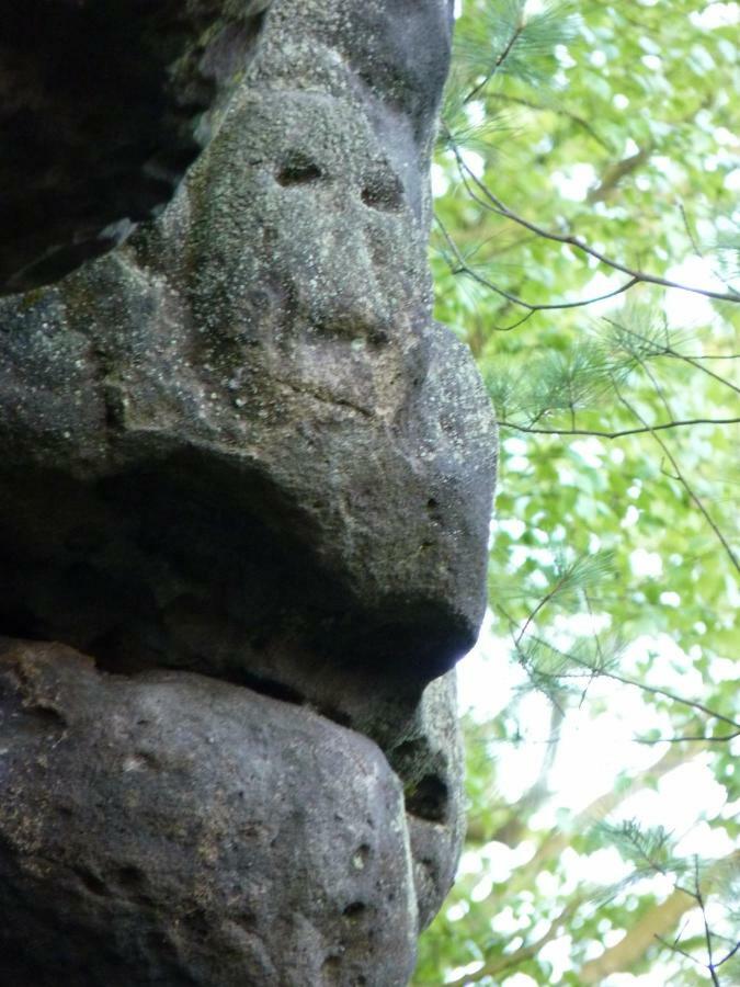 Ein Platz Fuer Ruhe Und Naturgenuss Sebnitz Exterior foto