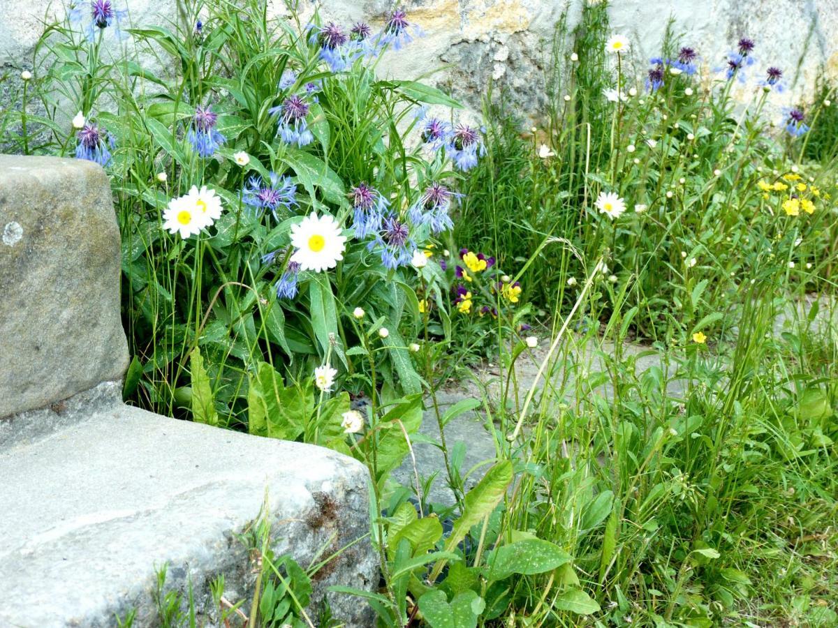 Ein Platz Fuer Ruhe Und Naturgenuss Sebnitz Exterior foto